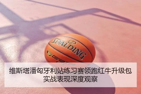 维斯塔潘匈牙利站练习赛领跑红牛升级包实战表现深度观察